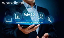 How to Use SEO in Our Website